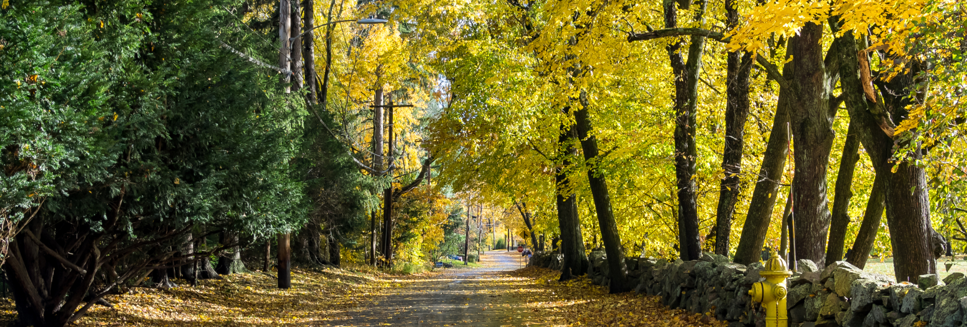 Anytown USA 005 1920X650