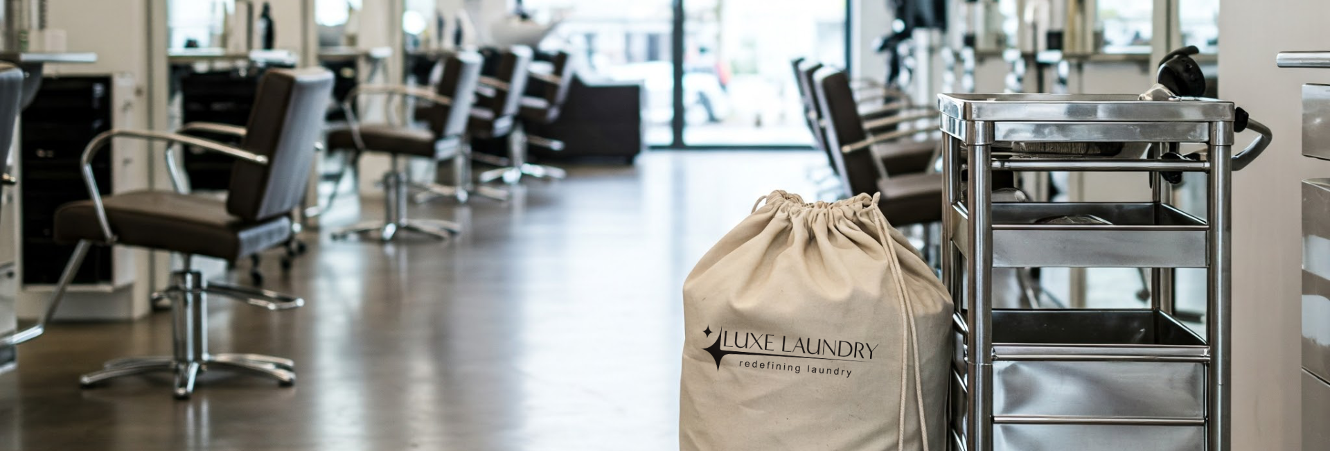 Luxe Laundry Commercial Delivery